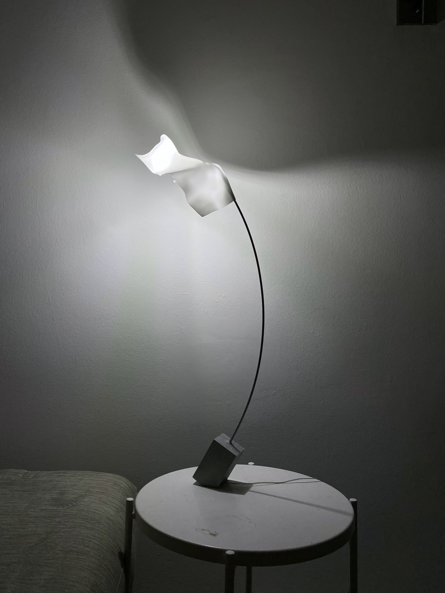 LAMP1